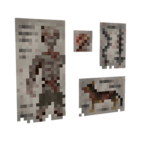 Anatomy posters